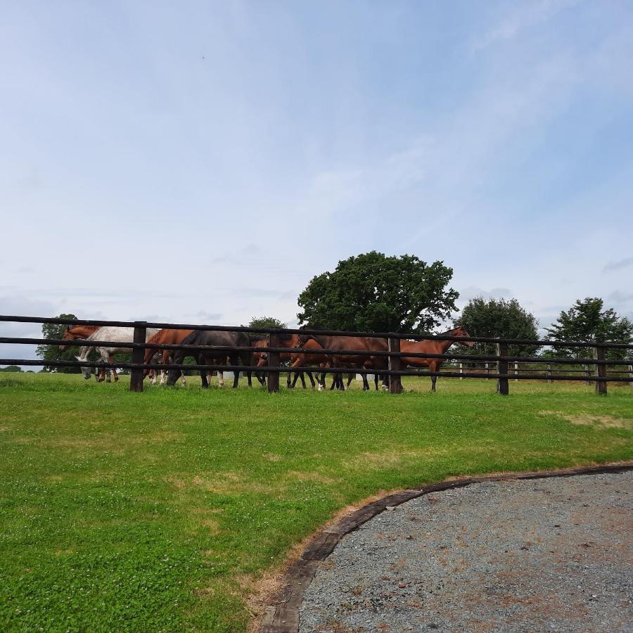Gite De Blagny Saint-Clair-sur-l'Elle Exterior foto